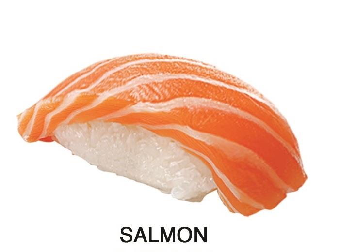 Salmon