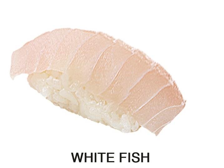 White Fish