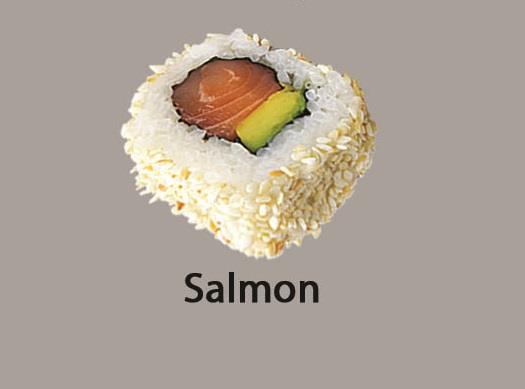 Salmon