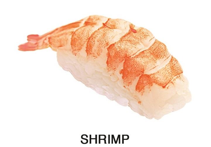 Shrimp