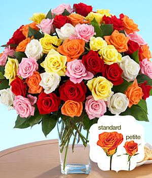 48 Assorted Petite Roses