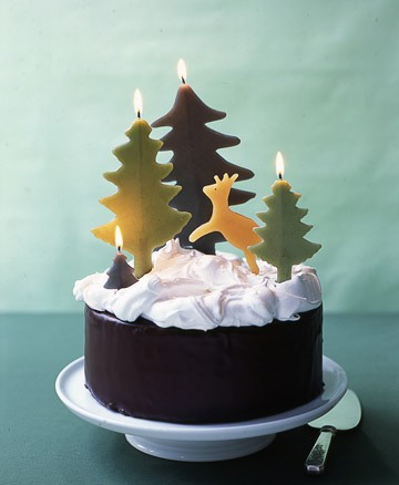 Chocolate Cake with Snowy Meringue