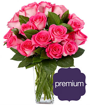 Long Stemmed Pink Pearl Roses