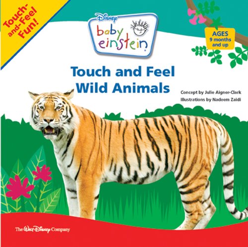 Touch and Feel Wild Animals 