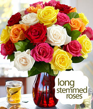 Two Dozen Assorted Long Stemmed Roses