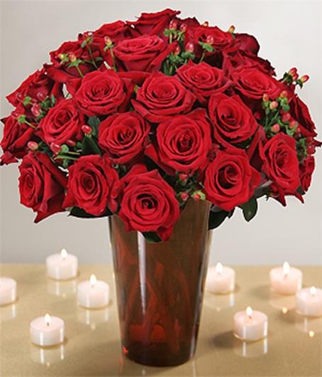 Two Dozen Long Stem Fancy Red Roses 